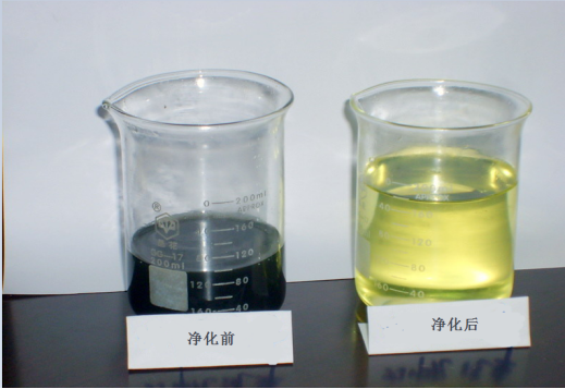 1740391208608032.png gts.png